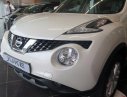 Nissan Juke 1.6L 2016 - Bán Nissan Juke 1.6L đời 2016, màu trắng, nhập khẩu