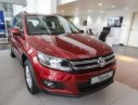Volkswagen Tiguan 2016 - Volkswagen Tiguan 2.0 TSI 4 Motion 2016, màu đỏ mận, nhập khẩu Đức, ưu đãi tốt nhất cho KH, LH Hương 0902608293