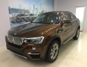 BMW X4 2017 - Bán xe BMW X4 2017, màu nâu, nhập khẩu nguyên chiếc, ưu đãi lớn dịp khai trương