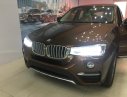 BMW X4 2017 - Bán xe BMW X4 2017, màu nâu, nhập khẩu nguyên chiếc, ưu đãi lớn dịp khai trương