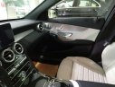 Mercedes-Benz C300   AMG 2017 - Bán Mercedes C300 AMG 2017, màu xanh cực hiếm, giao ngay, khuyến mãi cực lớn cuối năm