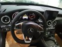 Mercedes-Benz C300   AMG 2017 - Bán Mercedes C300 AMG 2017, màu xanh cực hiếm, giao ngay, khuyến mãi cực lớn cuối năm