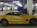 Mercedes-Benz SL class SL 550 Sport Brabus 2007 - Bán Mercedes SL 550 Sport Brabus có 1 không 2 tại VN