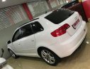 Audi A3   2010 - Bán ô tô Audi A3 năm 2010, màu trắng, xe nhập