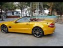 Mercedes-Benz SL class SL 550 Sport Brabus 2007 - Bán Mercedes SL 550 Sport Brabus có 1 không 2 tại VN