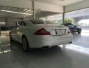 Mercedes-Benz CLS class CLS 350 2009 - Bán Mercedes CLS 350 đời 2009, màu trắng, xe nhập, 965 triệu