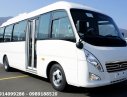 Daewoo Lestar 2016 - Bán xe khách 29 chỗ Daewoo Lestar