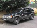 Jeep Grand Cheroke   1994 - Cần bán Jeep Grand Cheroke 1994, màu đen, nhập khẩu, giá 225tr