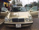 Mercedes-Benz E230   1996 - Bán ô tô Mercedes E230 sản xuất 1996, nhập khẩu chính hãng
