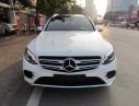 Mercedes-Benz Smart GLC300 2016 - Mercedes GLC300 2016 màu trắng