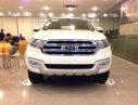 Ford Everest 2.2L 4x2 Titanium AT 2017 - Xe Ford Everest Titanium 2.2L nhập khẩu Thái Lan giá rẻ, hỗ trợ trả góp 80% tại Điện Biên