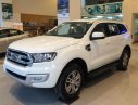 Ford Everest 2.2L 4x2 Titanium AT 2017 - Xe Ford Everest Titanium 2.2L nhập khẩu Thái Lan giá rẻ, hỗ trợ trả góp 80% tại Điện Biên