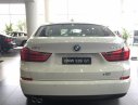 BMW 528i GT 2.0 2017 - Cần bán xe BMW 528i GT 2.0 đời 2017, màu trắng