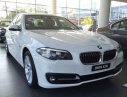 BMW 528i GT 2.0 2017 - Cần bán xe BMW 528i GT 2.0 đời 2017, màu trắng