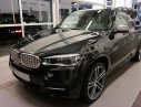 BMW X3 20i 2017 - Bán xe BMW X3 20i năm 2017, màu đen, nhập khẩu chính hãng tại Đà Nẵng