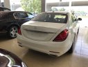 Mercedes-Benz S500   2017 - Bán ô tô Mercedes S500 đời 2017 màu trắng - LH 0904927272