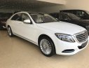 Mercedes-Benz S500   2017 - Bán ô tô Mercedes S500 đời 2017 màu trắng - LH 0904927272