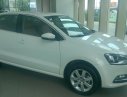 Volkswagen Polo GP 2016 - VW- The Polo Hatchback - Siêu phẩm châu Âu - Cực phẩm Đức