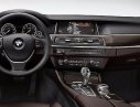 BMW 528i 2017 - BMW Hồ Chí Minh bán BMW 528i đời 2017, màu đen, nhập khẩu chính hãng