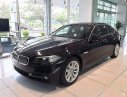 BMW 528i 2017 - BMW Hồ Chí Minh bán BMW 528i đời 2017, màu đen, nhập khẩu chính hãng