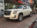 Cadillac Escalade Platinum 2016 - Bán ô tô Cadillac Escalade Platinum đời 2016, màu trắng, nhập khẩu Mỹ, giá tốt. LH 0948.256.912