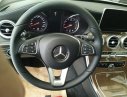 Mercedes-Benz C250 Exclusive 2017 - Cần bán xe Mercedes C250 Exclusive mẫu mới 2017, có đủ màu, giao ngay, giá giảm cực sốc