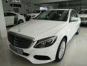 Mercedes-Benz C250 Exclusive 2017 - Cần bán xe Mercedes C250 Exclusive mẫu mới 2017, có đủ màu, giao ngay, giá giảm cực sốc