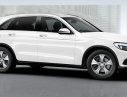 Mercedes-Benz GLC 250 2016 - Cần bán Mercedes 250 đời 2016, màu trắng, giao xe ngay nhiều quà tặng