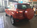 Ford EcoSport MT 2016 - Ford Ecosport 2016, số sàn chạy Uber & Grab
