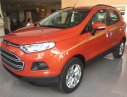Ford EcoSport MT 2016 - Ford Ecosport 2016, số sàn chạy Uber & Grab