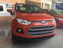 Ford EcoSport MT 2016 - Ford Ecosport 2016, số sàn chạy Uber & Grab