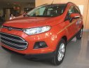 Ford EcoSport MT 2016 - Ford Ecosport 2016, số sàn chạy Uber & Grab