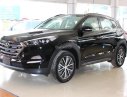 Hyundai Tucson 2.0 AT 2017 - [Bình Thuận] Cần bán Hyundai Tucson 2017 Full, nhập khẩu, giá tốt nhất thị trường, LH 01202.7876.91