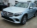 Mercedes-Benz GLC 300 2017 - Cần bán xe Mercedes GLC 300 đời 2017, nội thất đen, giao xe ngay