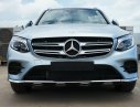 Mercedes-Benz GLC 300 2017 - Cần bán xe Mercedes GLC 300 đời 2017, nội thất đen, giao xe ngay