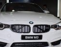 BMW M3 2017 - Bán BMW M3 đời 2017, màu trắng, nhập khẩu
