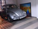 Volkswagen Beetle 1980 - Bán Volkswagen Beetle trước đời 1980, màu xám, nhập khẩu chính hãng