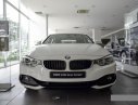 BMW 4 Series 420i Gran Coupe 2017 - BMW 4 Series 420i Gran Coupe 2017, màu trắng, nhập khẩu, giá rẻ nhất, giao xe nhanh nhất