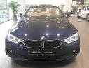 BMW 4 Series 428i Cabriolet 2017 - BMW 4 Series 428i Cabriolet 2017, màu xanh lam, nhập khẩu