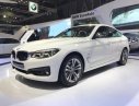 BMW 3 Series 320i GT(Gran Turismo) 2017 - BMW 3 Series 320i GT(Gran Turismo) 2017, màu trắng, nhập khẩu chính hãng