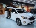 Kia Sedona 2016 - Bán ô tô Kia Sedona đời 2016, màu trắng, nhập khẩu chính hãng