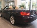 BMW 4 Series 428i Cabriolet 2017 - BMW 4 Series 428i Cabriolet 2017, màu xanh lam, nhập khẩu