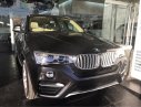 BMW X4 xDrive 20i 2017 - Bán BMW X4 xDrive 20i 2017, màu xám (ghi), nhập khẩu chính hãng