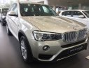 BMW X3 xDrive20i 2017 - Bán BMW X3 xDrive20i 2017, màu bạc, nhập khẩu chính hãng, giá rẻ nhất tại Đà Nẵng