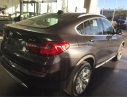 BMW X4 xDrive20i 2017 - Bán xe BMW X4 xDrive20i sản xuất 2017, màu xám (ghi), xe nhập, giá rẻ nhất, giao ngay