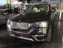 BMW X4 xDrive20i 2017 - Bán xe BMW X4 xDrive20i sản xuất 2017, màu xám (ghi), xe nhập, giá rẻ nhất, giao ngay