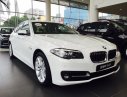 BMW 5 Series 520i 2017 - Bán xe BMW 5 Series 520i 2017, màu trắng, nhập khẩu chính hãng, giá rẻ nhất