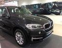 BMW X5 xDrive 35i 2017 - Bán xe BMW X5 xDrive 35i 2017, màu đen, nhập khẩu, ưu đãi cực lớn, giao xe ngay