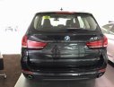 BMW X5 xDrive 35i 2017 - Bán xe BMW X5 xDrive 35i 2017, màu đen, nhập khẩu, ưu đãi cực lớn, giao xe ngay