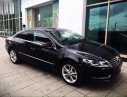 Volkswagen Passat CC 2013 - Bán Volkswagen Passat CC đời 2013, màu đen, nhập khẩu chính hãng